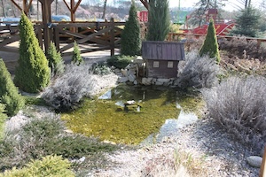 IMG_0780.JPG