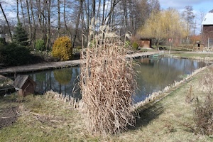 IMG_0786.JPG