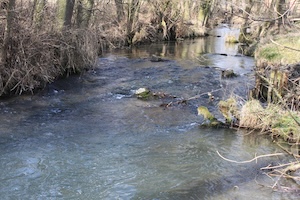 IMG_0858.JPG