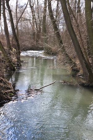 IMG_0860.JPG