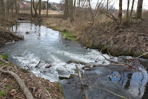 IMG_0873.JPG