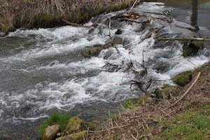 IMG_0874.JPG