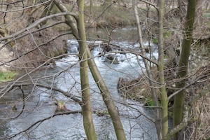 IMG_0877.JPG