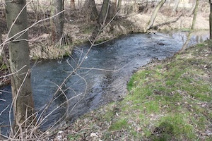 IMG_0880.JPG